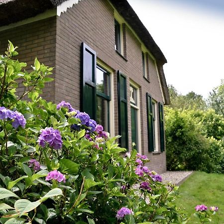Bij Ons Op 20 Bed and Breakfast Nijeveen Εξωτερικό φωτογραφία