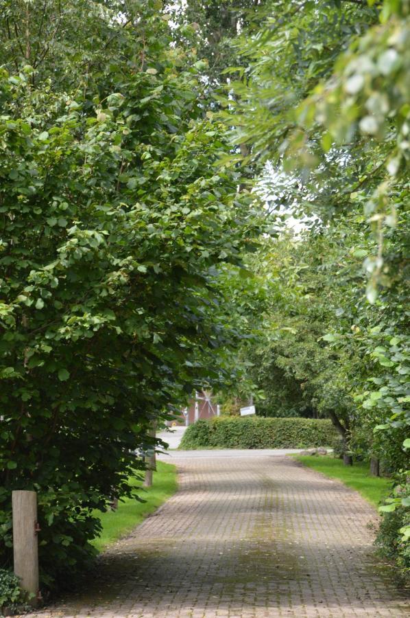 Bij Ons Op 20 Bed and Breakfast Nijeveen Εξωτερικό φωτογραφία